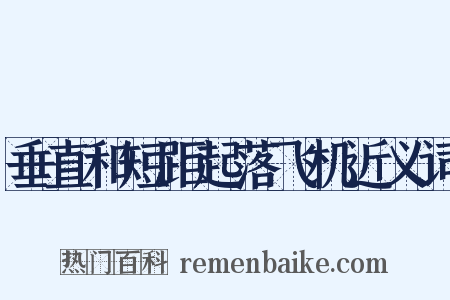 垂直和短距起落飞机近义词是什么意思的图片